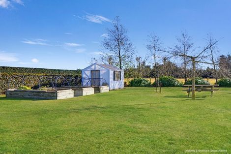Photo of property in 14 Hayfield Terrace, Cust, Rangiora, 7471