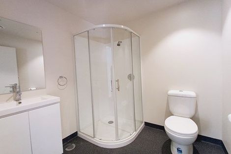 Photo of property in Te Kainga Te Aka, 203 Willis Street, Te Aro, Wellington, 6011