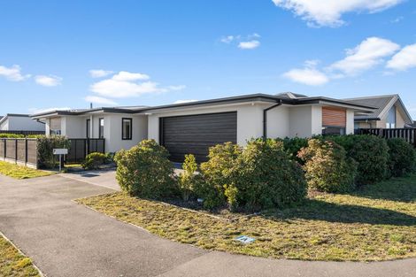 Photo of property in 16 Hancox Street, Kaiapoi, 7630