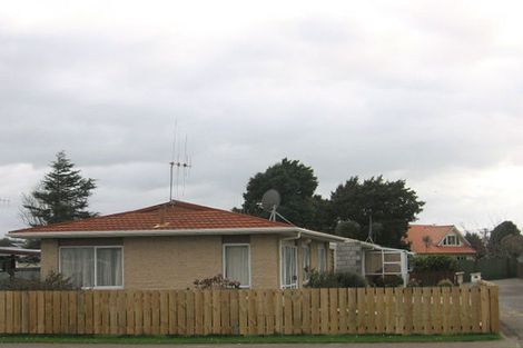 Photo of property in 16b Mako Mako Road, Levin, 5510