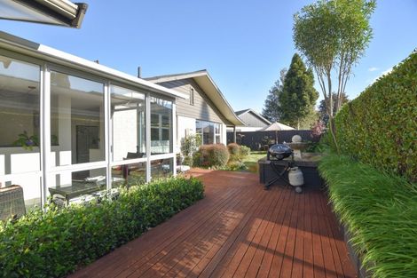 Photo of property in 13 Springfield Road, Springfield, Rotorua, 3015