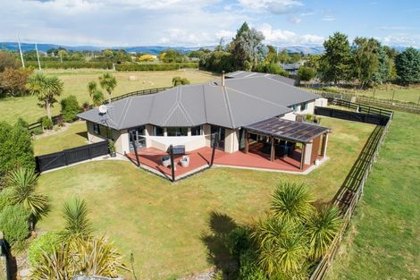 Photo of property in 420 Kairanga Bunnythorpe Road, Bunnythorpe, Palmerston North, 4478