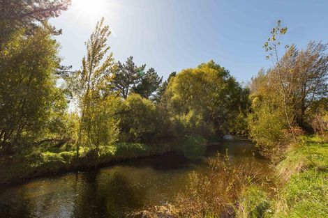 Photo of property in 365 Bluff Rangitumau Road, Rangitumau, Masterton, 5871