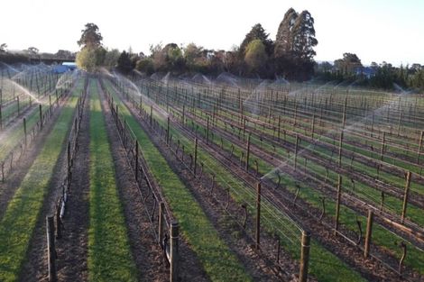 Photo of property in 42 Loop Line, Opaki, Masterton, 5881