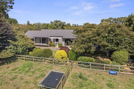 Photo of property in 326a Bellevue Road, Matangi, Cambridge, 3493