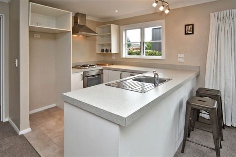 Photo of property in 38 Percy Street, Phillipstown, Christchurch, 8011