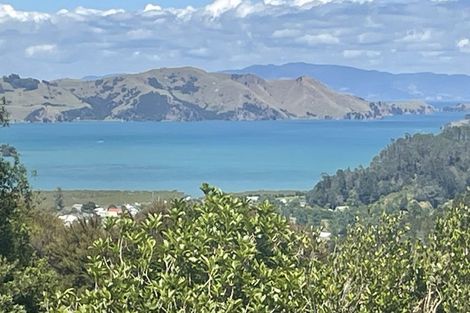 Photo of property in 800 Buffalo Road, Coromandel, 3506