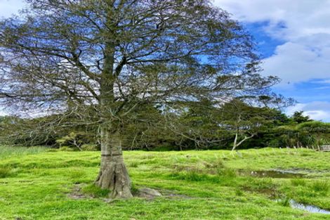 Photo of property in 68 Spioenkop Road, Mangawhai, 0573