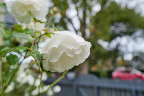 Photo of property in 67 Russel Street, Gladstone, Invercargill, 9810