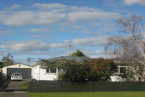 Photo of property in 83 Alexandra Street, Marton, 4710