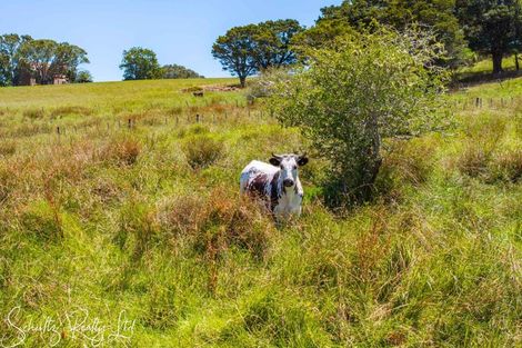 Photo of property in 35 Minnie Casey Rise, Matakohe, 0593