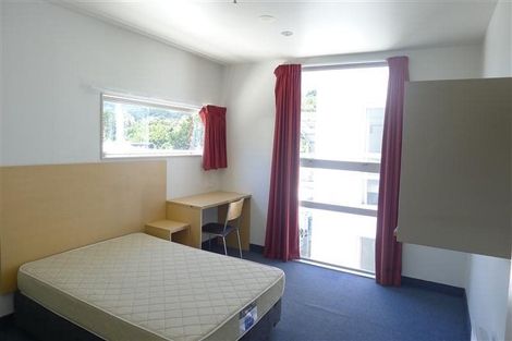 Photo of property in Hanson House, 27 Hanson Street, Mount Cook, Wellington, 6021