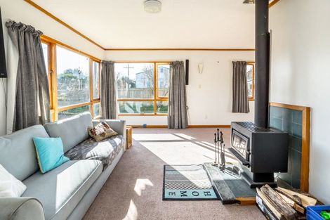 Photo of property in 20 Dublin Street, Martinborough, 5711