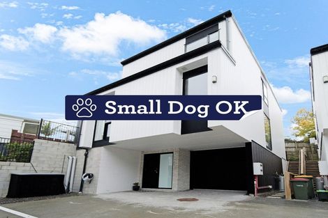 Photo of property in 6d Bacot Place, Howick, Auckland, 2014