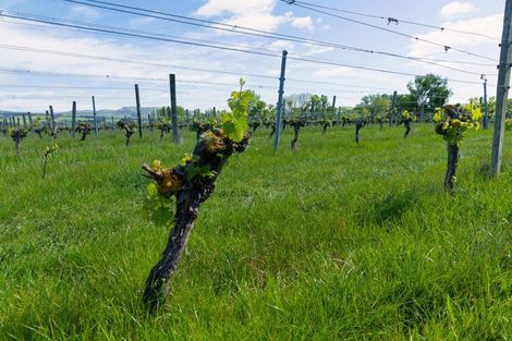 Photo of property in 35 Brighton Street, Island Bay, Wellington, 6023