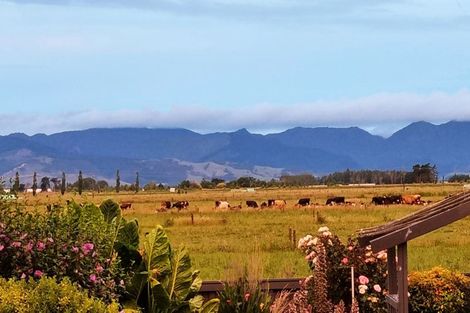 Photo of property in 108 Pipiroa Road, Ngatea, 3503