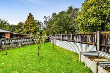 Photo of property in 53 Seyton Street, Stratford, 4332