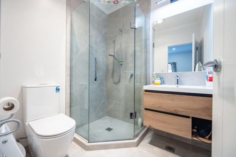 Photo of property in 30a Thomson Avenue, Dinsdale, Hamilton, 3204