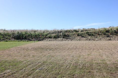 Photo of property in 207 John Burke Drive, Aotea, Porirua, 5024