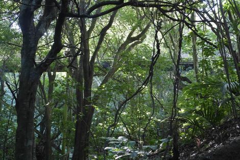 Photo of property in 52 Howard Road, Point Howard, Lower Hutt, 5013