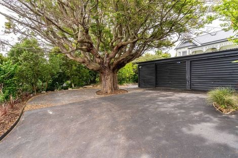 Photo of property in 22 Neidpath Road, Mornington, Dunedin, 9011