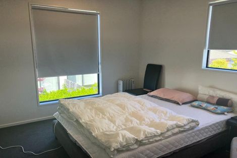 Photo of property in 17 Verlamio Lane, Edgeware, Christchurch, 8013