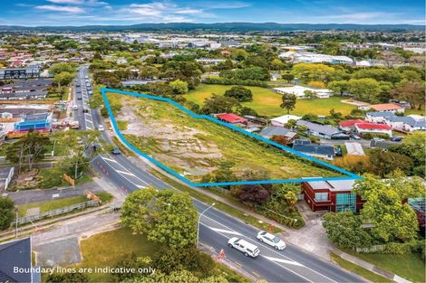 Photo of property in 64 Edmonton Road, Henderson, Auckland, 0612