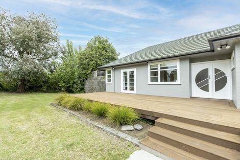 Photo of property in 41 Rogers Road, Bay View, Napier, 4104