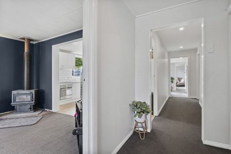 Photo of property in 16 Wairoa Street, Kaikorai, Dunedin, 9010