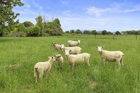 Photo of property in 238a No 9 Road, Springdale, Waitoa, 3380