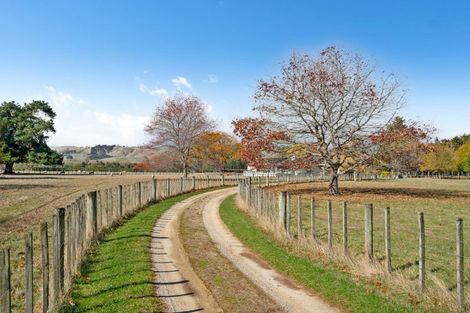 Photo of property in 237 Te Whiti Road, Homebush, Masterton, 5885