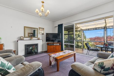 Photo of property in 29 Lewis Street, Paeroa, 3600