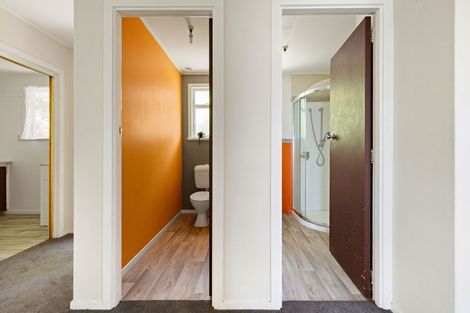 Photo of property in 17 Amethyst Place, Chartwell, Hamilton, 3210