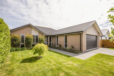 Photo of property in 51 Mokihi Gardens, Hillmorton, Christchurch, 8024