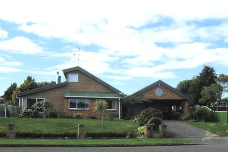 Photo of property in 85 Kennedy Drive, Levin, 5510