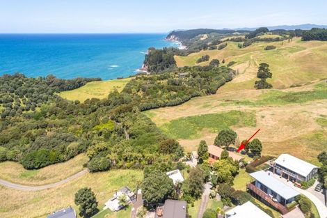 Photo of property in 444 Onemana Drive, Onemana, Whangamata, 3691
