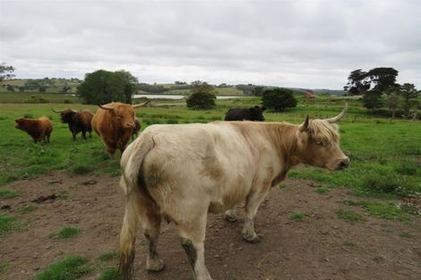 Photo of property in 23 Church Road, Matakohe, 0593