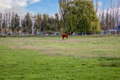 Photo of property in 272 Galloway Road, Galloway, Alexandra, 9393