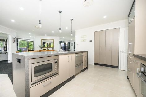 Photo of property in 20a Pukepapa Road, Marton, 4710