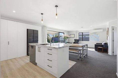 Photo of property in 32 Kahikatea Way, Appleby, Richmond, 7020