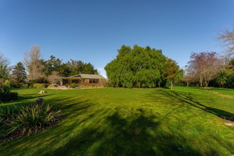 Photo of property in 260 Downs Road, Geraldine Downs, Geraldine, 7991