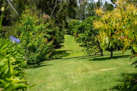 Photo of property in 303 Puketotara Road, Waipapa, Kerikeri, 0295