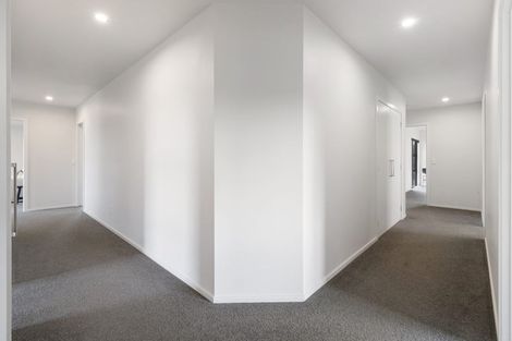 Photo of property in 46 Wapiti Avenue, Feilding, 4775