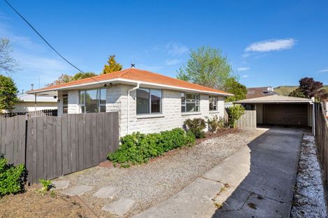 Photo of property in 5 Allen Street, Redwoodtown, Blenheim, 7201