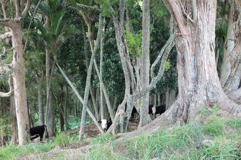 Photo of property in 16 Matai Drive, Maungaturoto, 0520