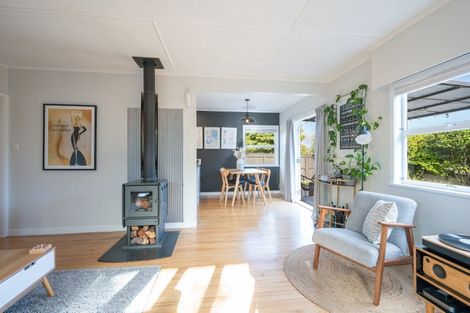 Photo of property in 20 Lowry Street, Richmond, 7020