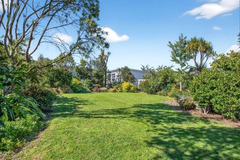 Photo of property in 29 Cockburn Street, Kuripuni, Masterton, 5810