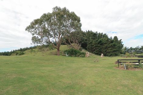 Photo of property in 4 Maury Place Foxton Horowhenua District