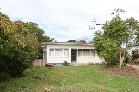 Photo of property in 19 Rua Street, Mangapapa, Gisborne, 4010