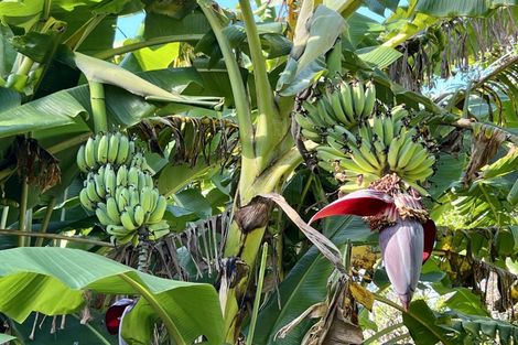 Photo of property in 8344d State Highway 35, Whanarua Bay, Te Kaha, 3199